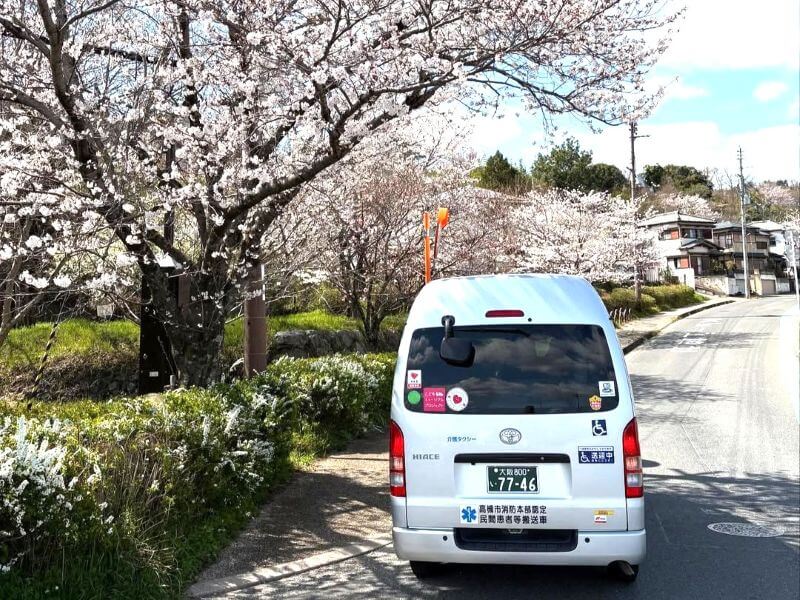 ハイエースと桜