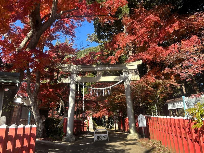 鳥居と紅葉