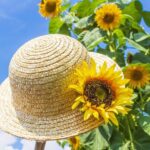 暑い夏も、無理せずお出かけを楽しもう！